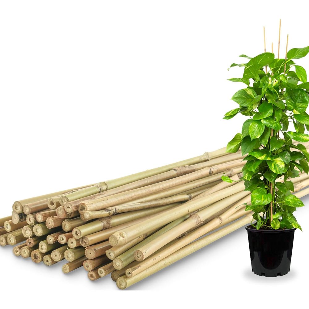 Plant Support Stake - Набор из 50 бамбуковых опор для
