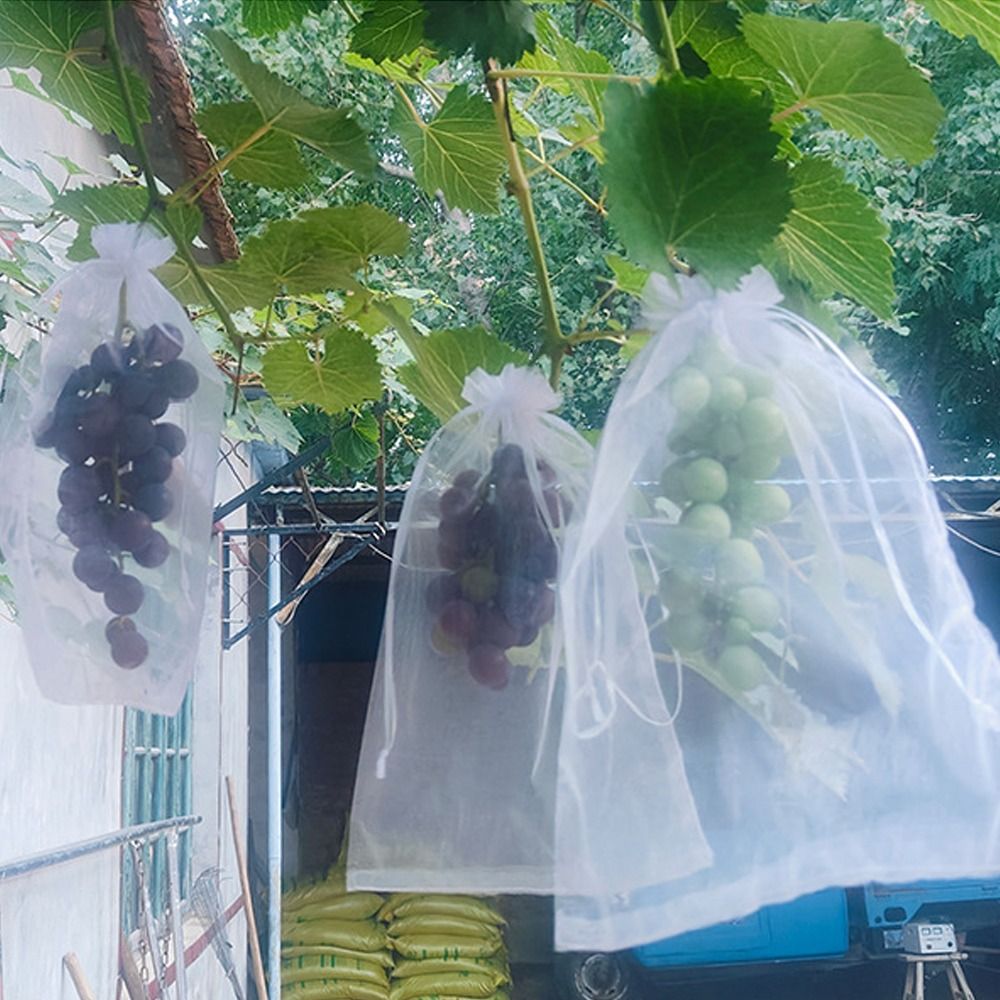 Grow Bags - 100 шт. сетчатых мешков для выращивания