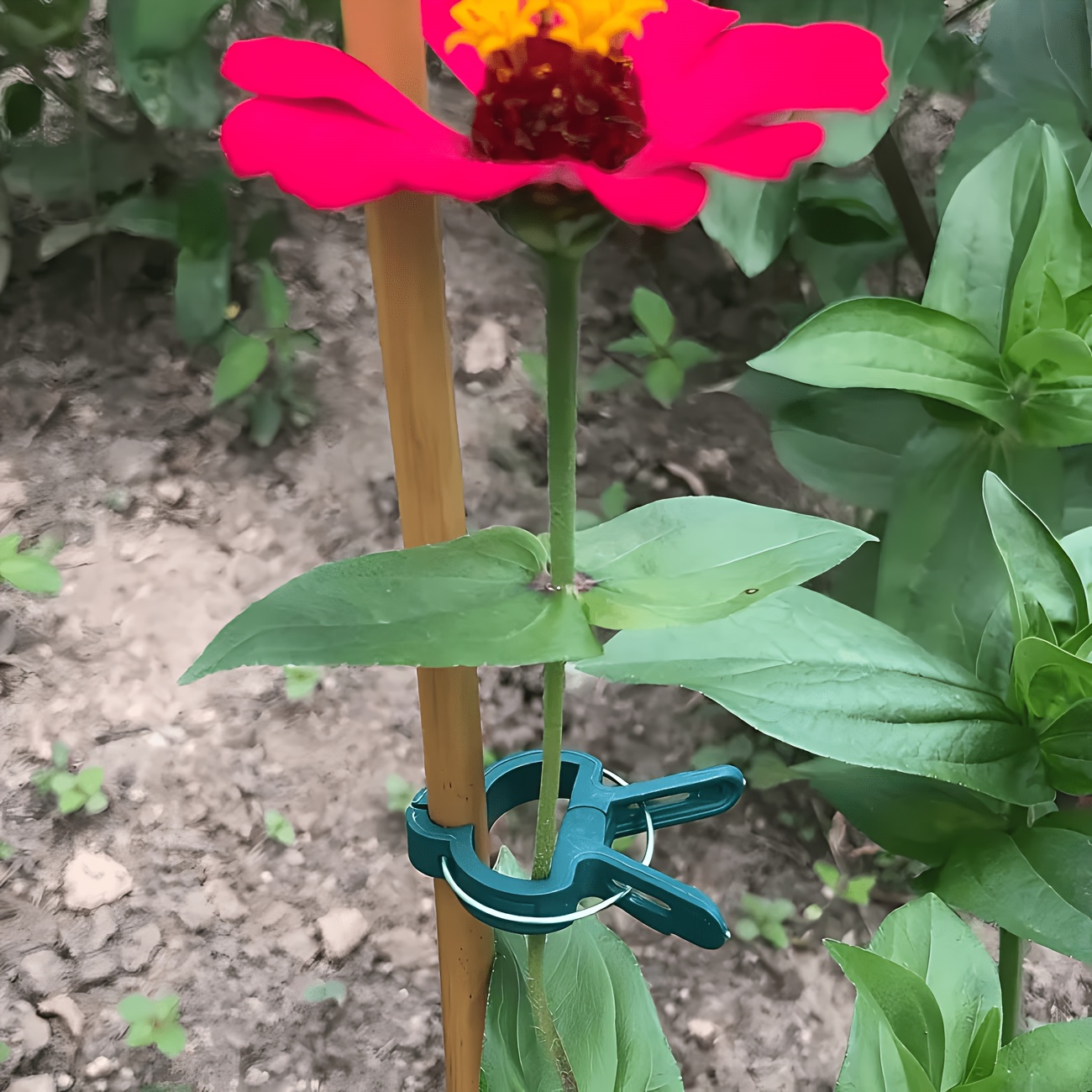 Gardening Tools Essential - 5 регулируемых клипс для растений (большие