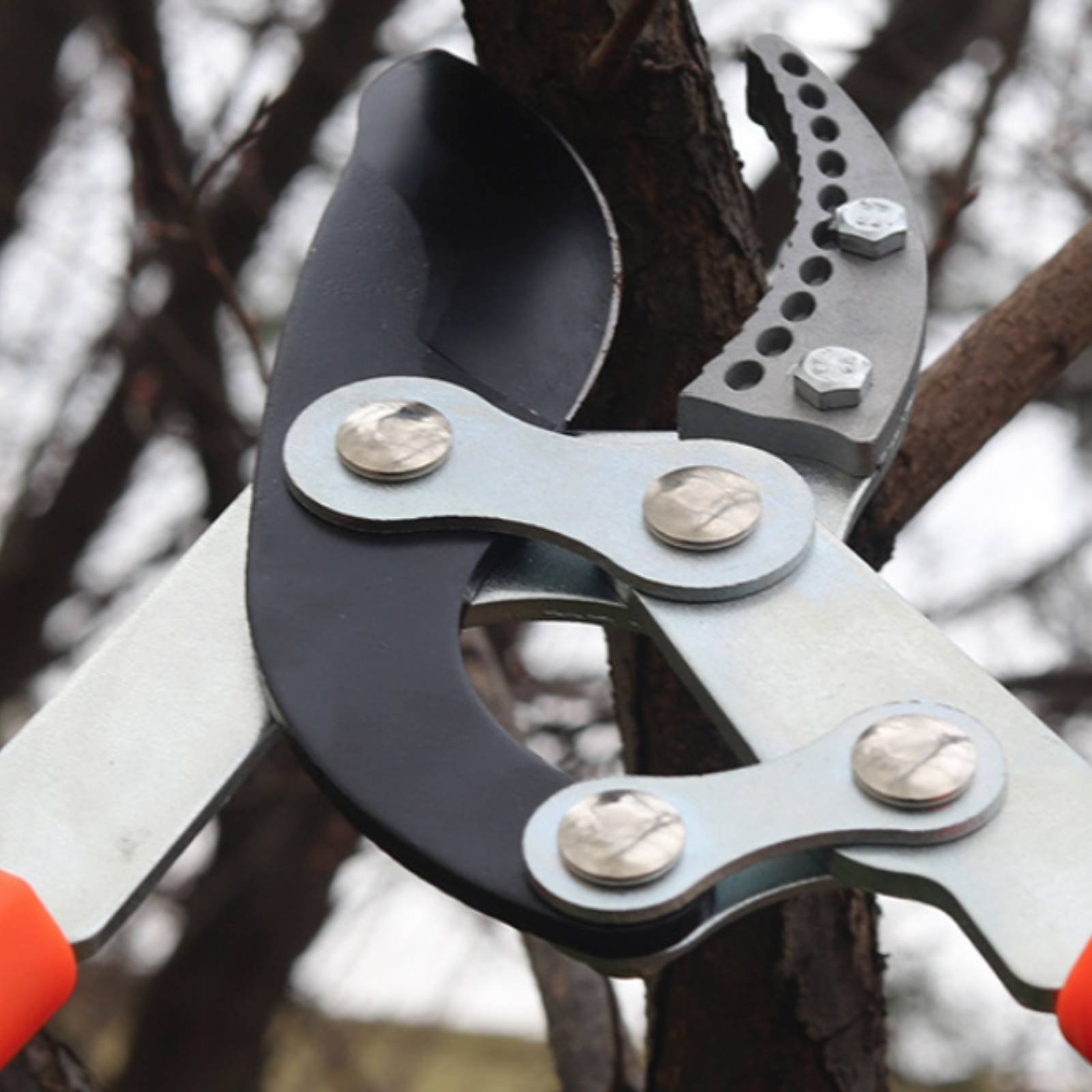 Gardening Tools - Телескопические секаторы для веток с острым