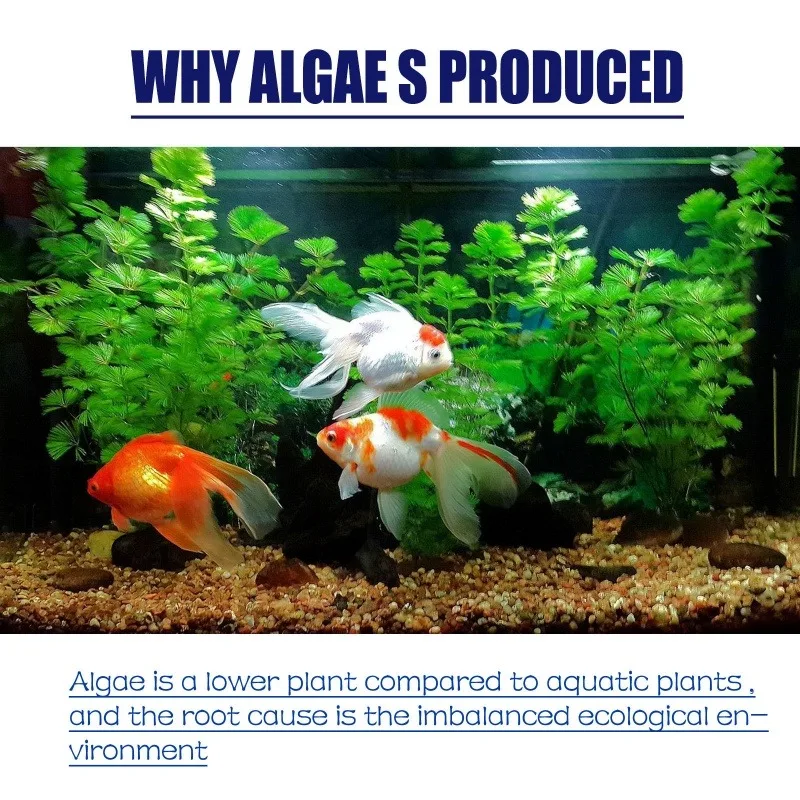 50 г высокоэффективного альгиц – обзор и цена Aquaponics Fish Tank