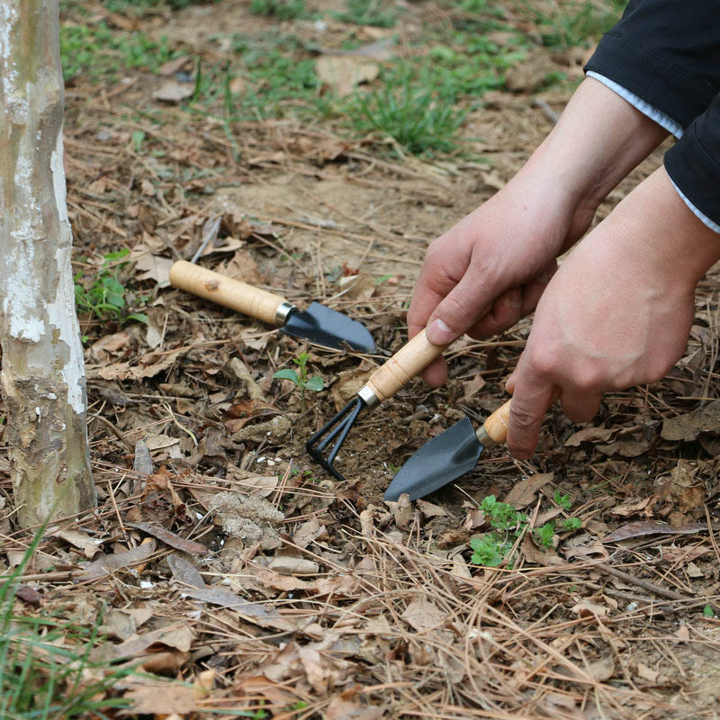 3 шт./компл. мини-набор садовы – обзор и цена Gardening Tools For Digging