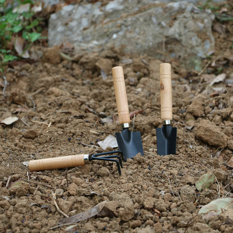 3 шт./компл. мини-набор садовы – обзор и цена Gardening Tools For Digging
