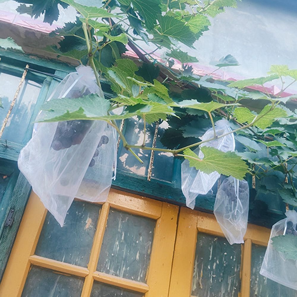 100 шт., пакеты для выращивани – обзор и цена Grow Bags