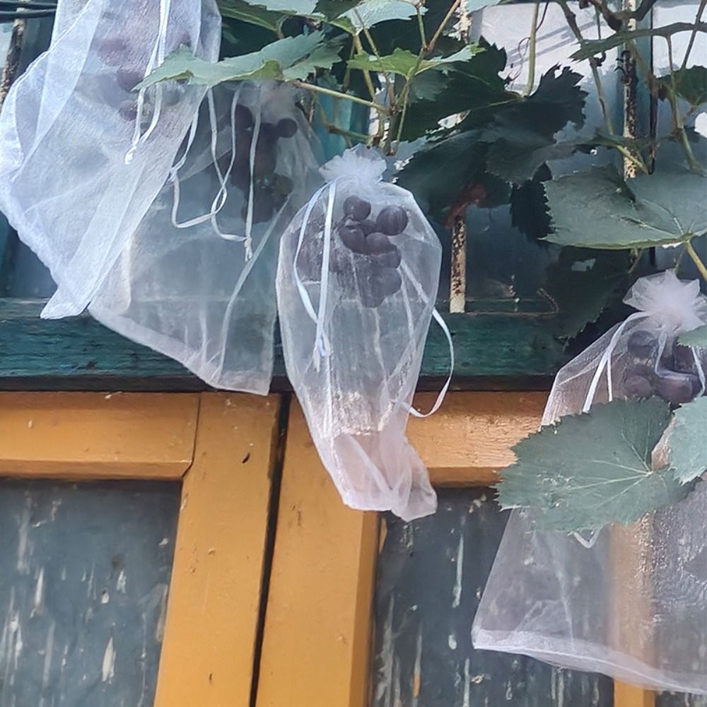 100 шт., пакеты для выращивани – обзор и цена Grow Bags