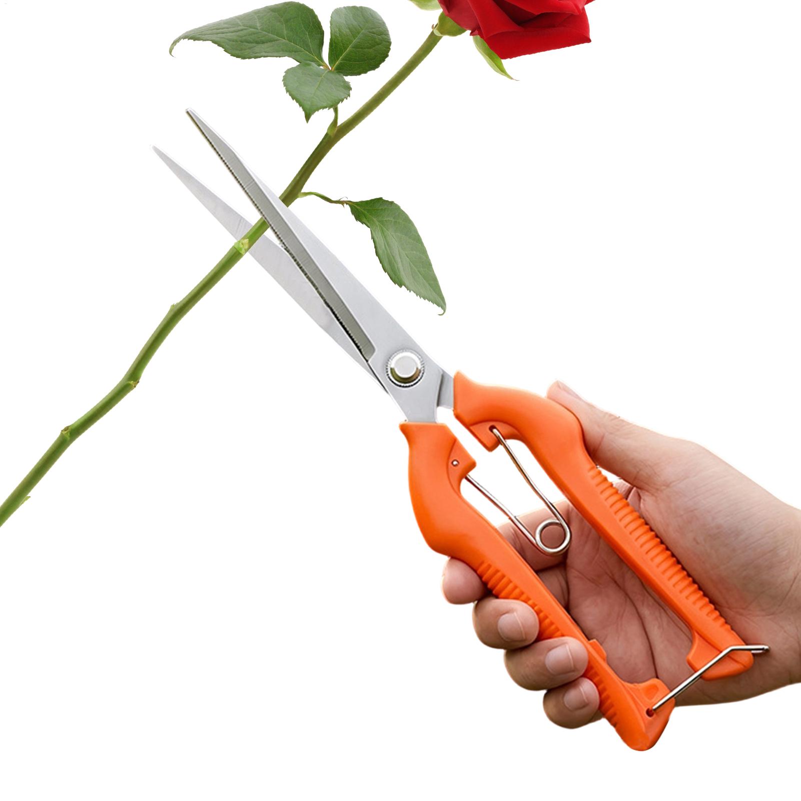 Новые профессиональные садовые – обзор и цена Gardening Tools For Beginners