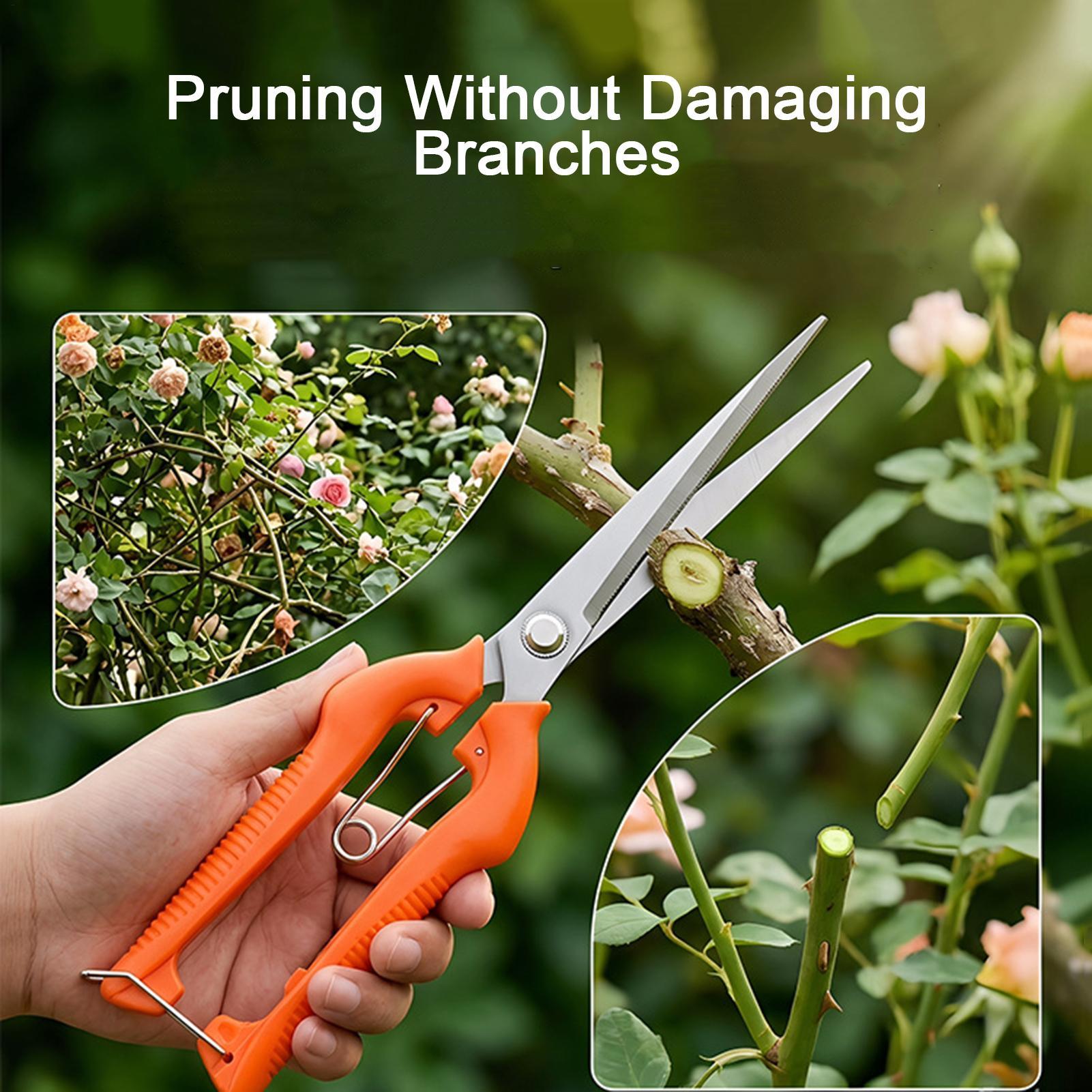 Новые профессиональные садовые – обзор и цена Gardening Tools For Beginners