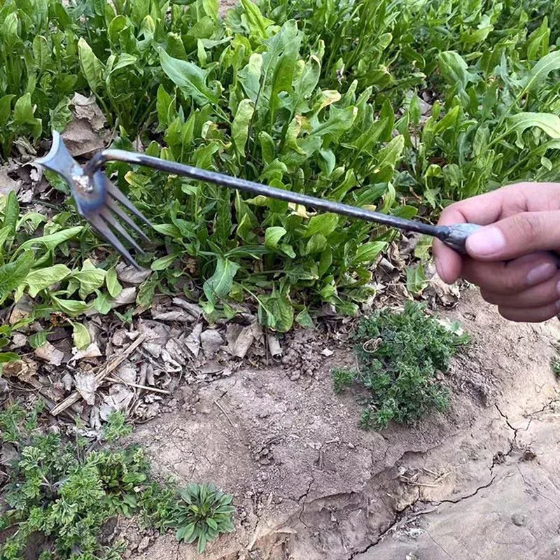 Садовый ручной прополочный инс – обзор и цена Gardening Tools To Remove Grass