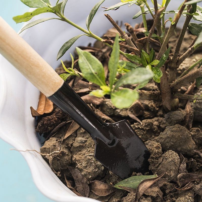 Набор из 3 мини-инструментов д – обзор и цена Gardening Tools For Digging