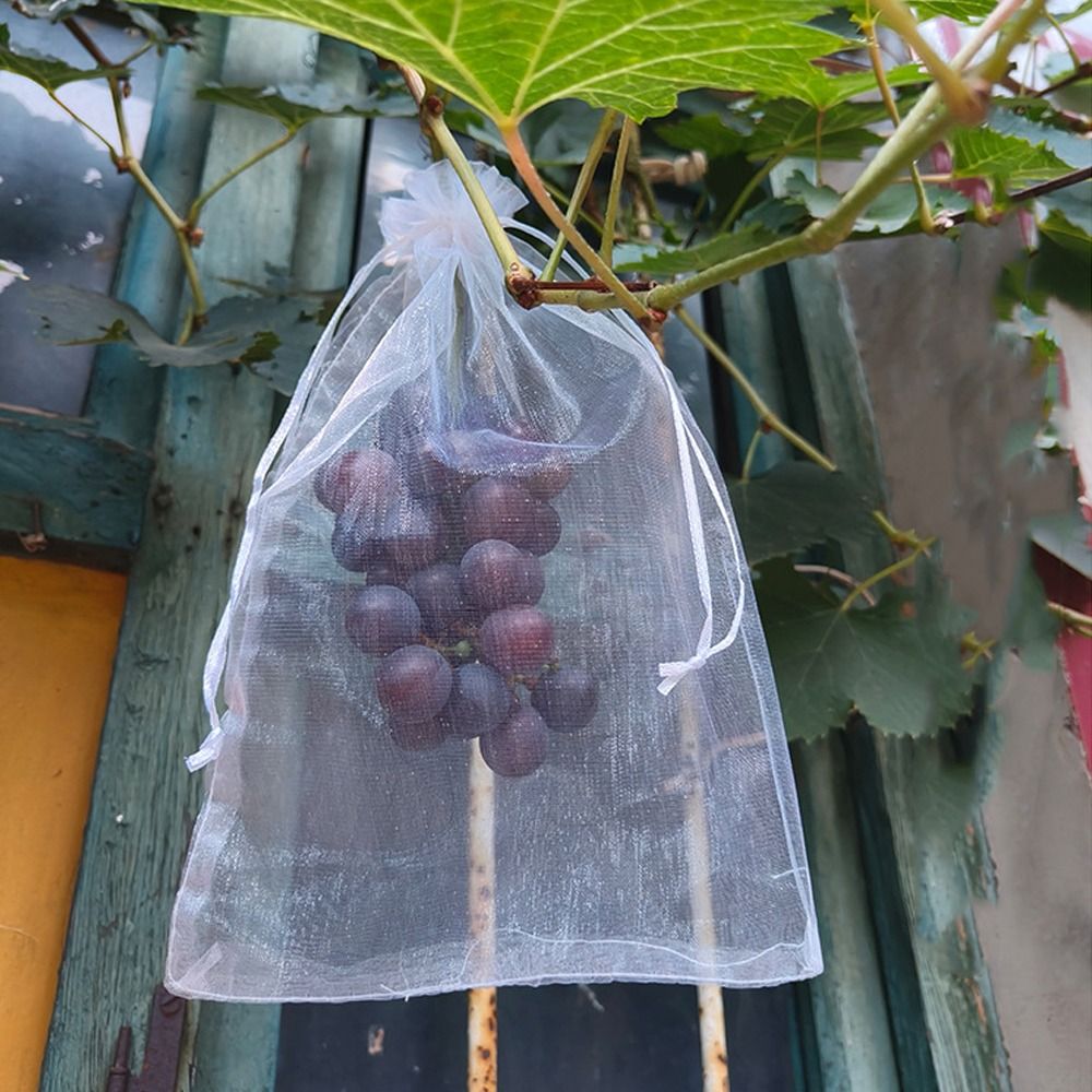 100 шт. сетчатых мешков для вы – обзор и цена Grow Bags