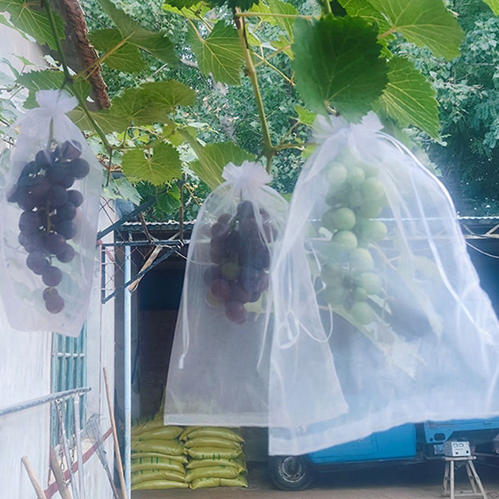 100 шт. сетчатых мешков для вы – обзор и цена Grow Bags