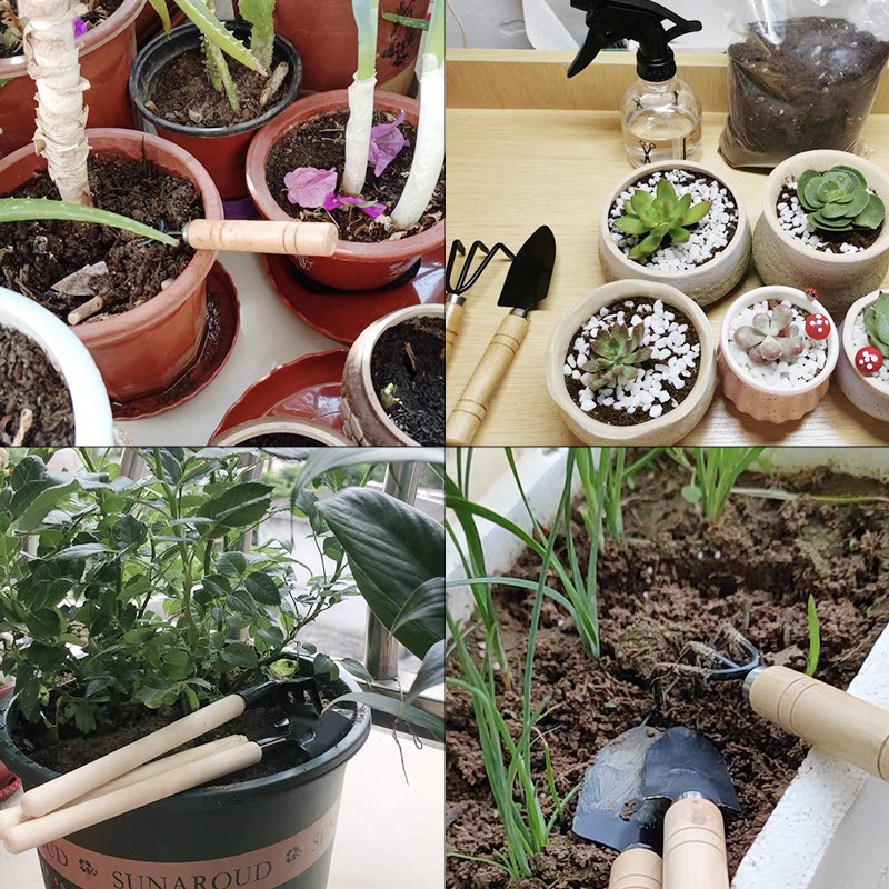 3 шт./1 компл. мини-набор садо – обзор и цена Gardening Tools Shop