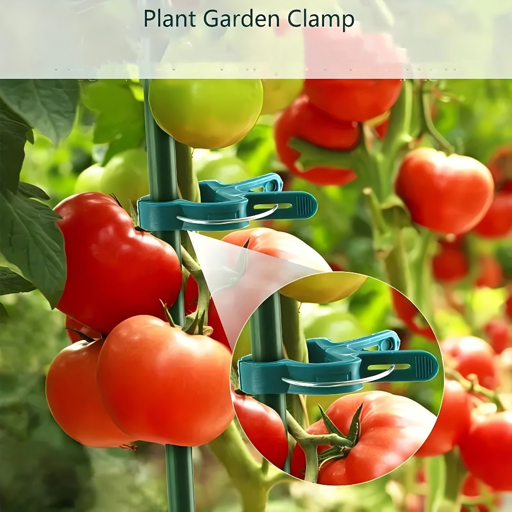10/30/50 шт. регулируемых зажи – обзор и цена Gardening Tools Essential