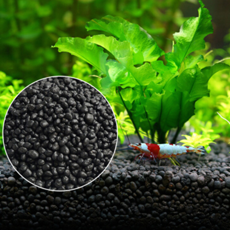 Семена аквариумных растений, п – обзор и цена Aquaponics Fish Tank