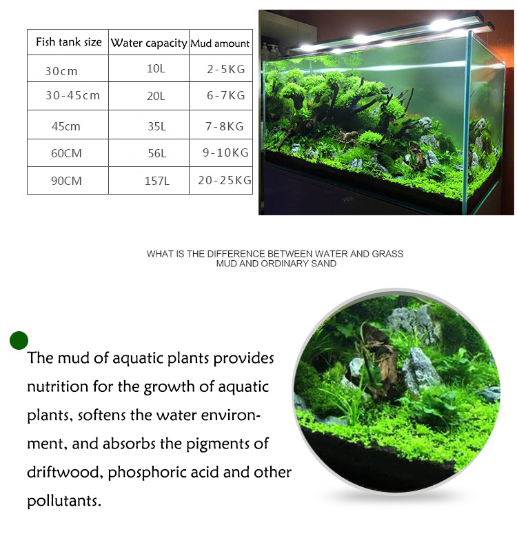 Семена аквариумных растений, п – обзор и цена Aquaponics Fish Tank
