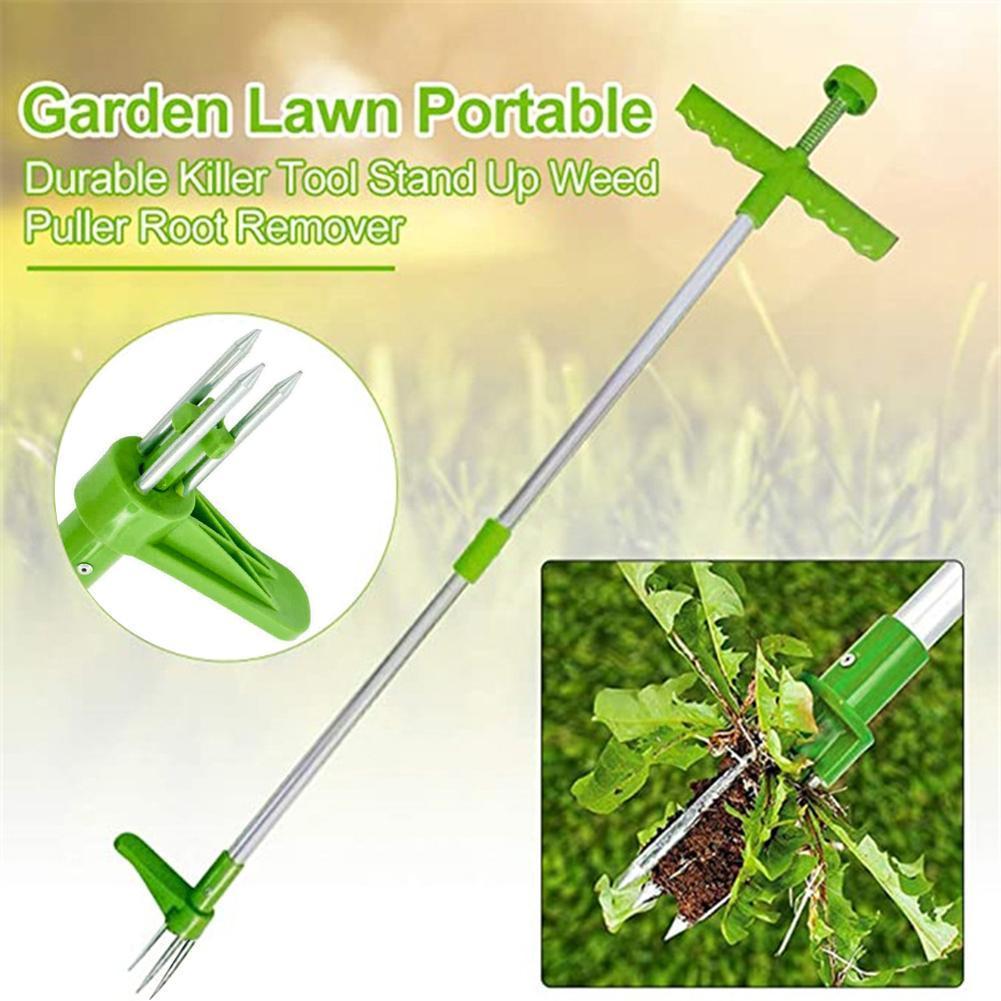 Легко переносимый инструмент д – обзор и цена Gardening Tools To Remove Grass