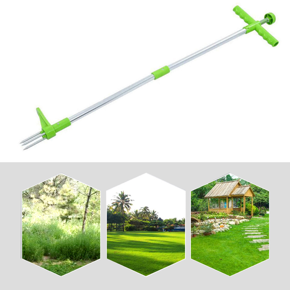 Легко переносимый инструмент д – обзор и цена Gardening Tools To Remove Grass