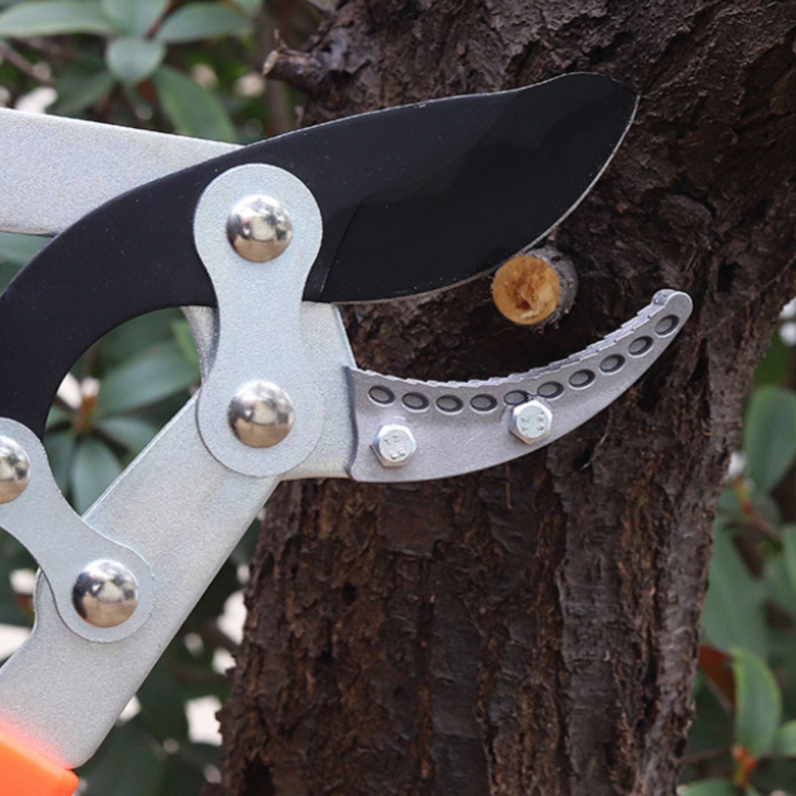 Телескопические секаторы для в – обзор и цена Gardening Tools
