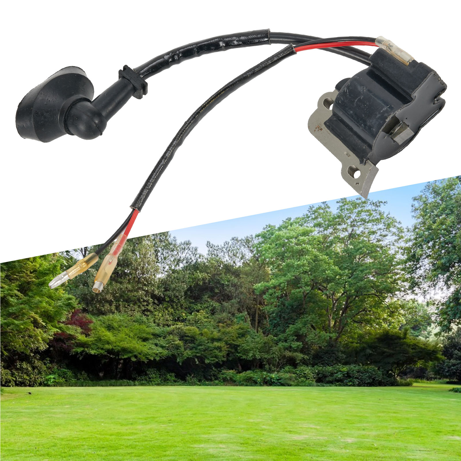 Катушка зажигания в сборе BPH2 – обзор и цена Gardening Tools List