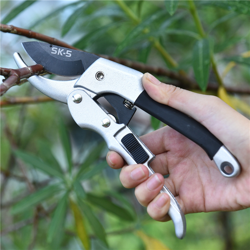 Новый 20 см трещотка, отделка  – обзор и цена Gardening Tools For Beginners
