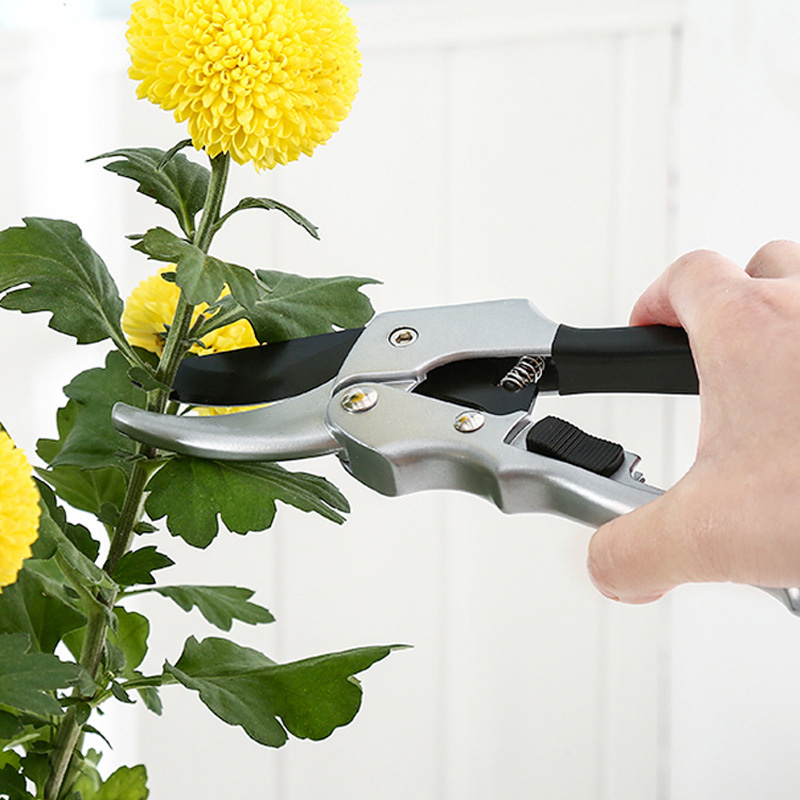 Новый 20 см трещотка, отделка  – обзор и цена Gardening Tools For Beginners