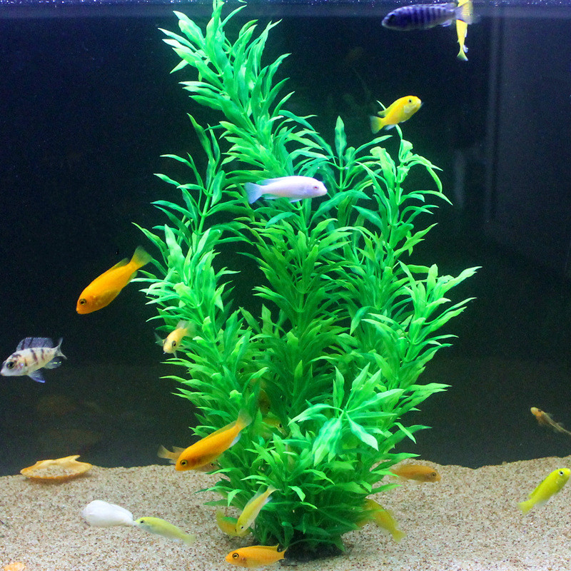 50 см искусственный аквариум р – обзор и цена Aquaponics Fish Tank