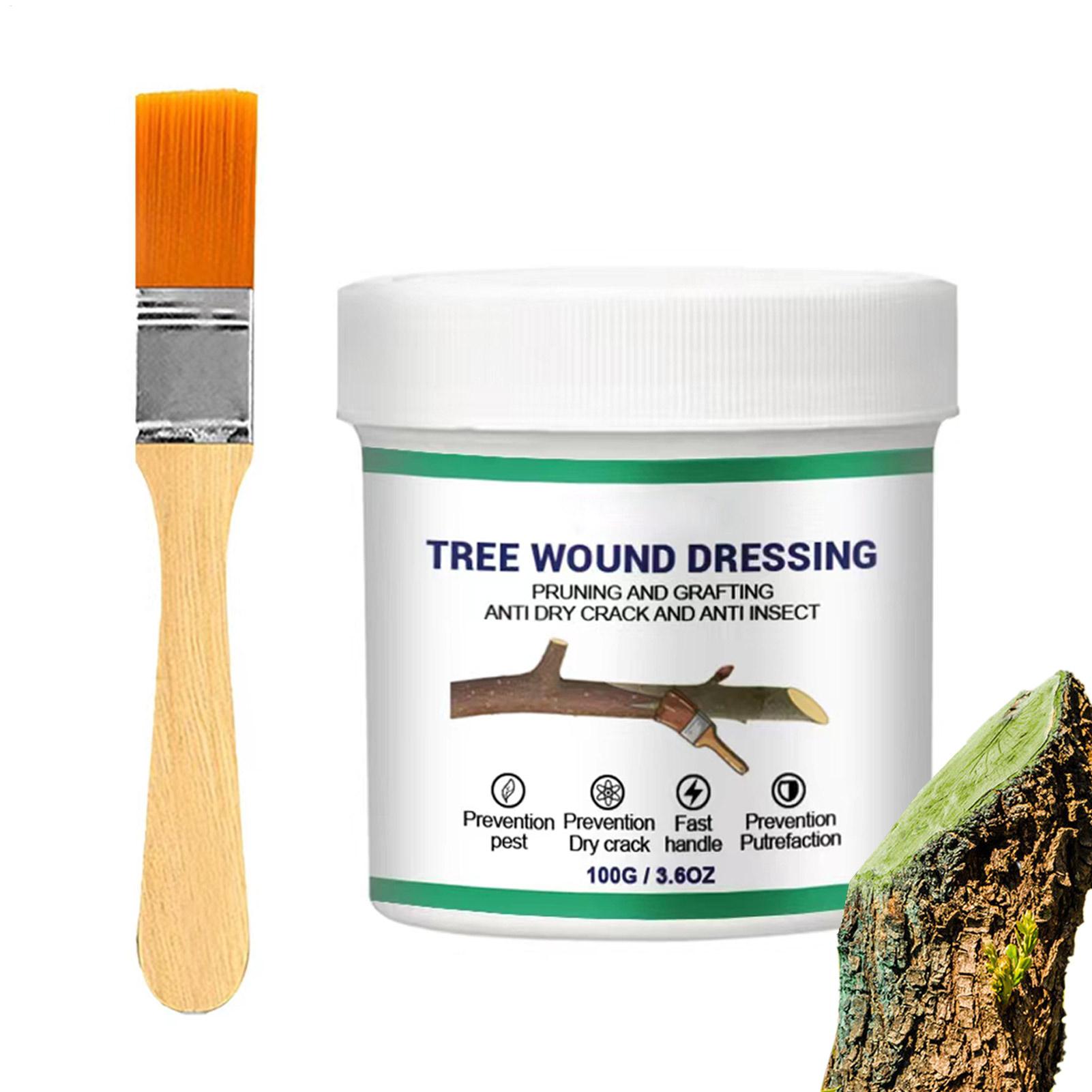 Паста для прививки деревьев, п – обзор и цена Gardening Tools For Women