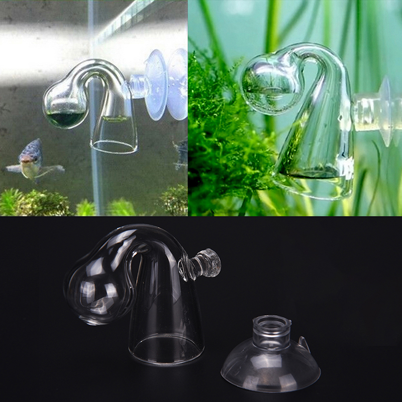 Диффузное стекло CO2 для прове – обзор и цена Aquaponics Fish Tank